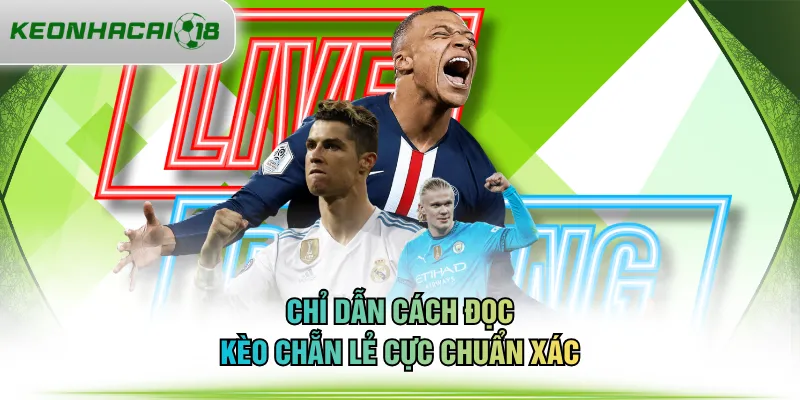 Chỉ dẫn cách đọc kèo chẵn lẻ cực chuẩn xác