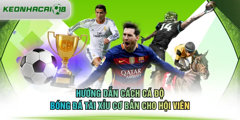 Hướng dẫn cách cá độ bóng đá Tài Xỉu cơ bản cho hội viên