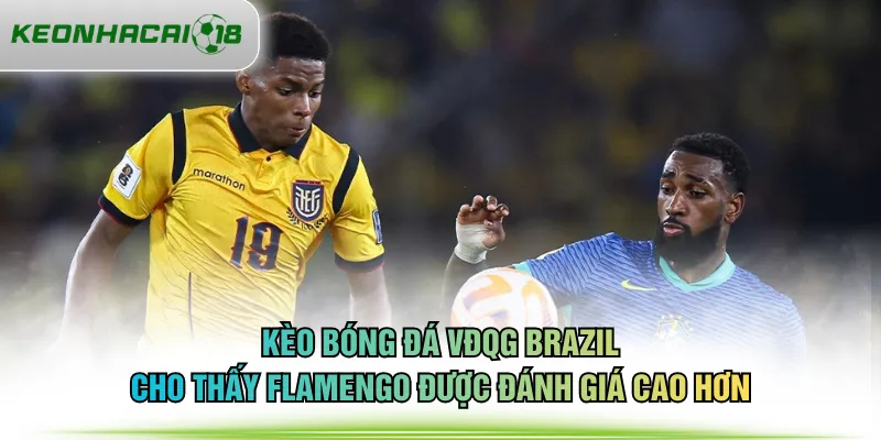 Kèo bóng đá VĐQG Brazil cho thấy Flamengo được đánh giá cao hơn